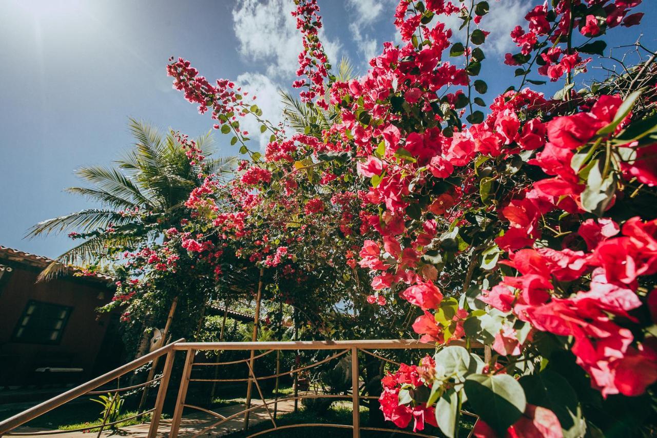 Pousada Boa Vista Barreirinhas Exteriér fotografie